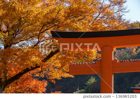 autumn time near osaka in japan autumn time near osaka in japan 136965203
