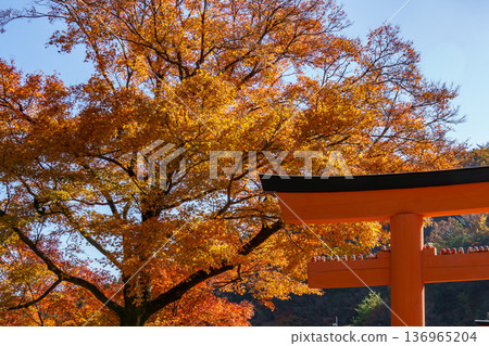 autumn time near osaka in japan autumn time near osaka in japan 136965204