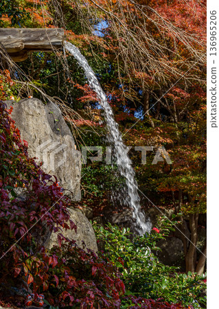 autumn time near osaka in japan autumn time near osaka in japan 136965206