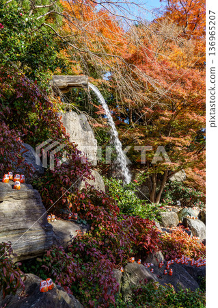 autumn time near osaka in japan autumn time near osaka in japan 136965207