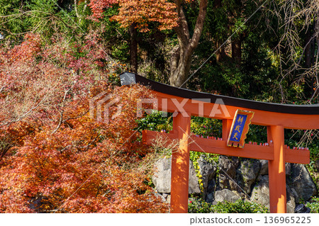 autumn time near osaka in japan autumn time near osaka in japan 136965225