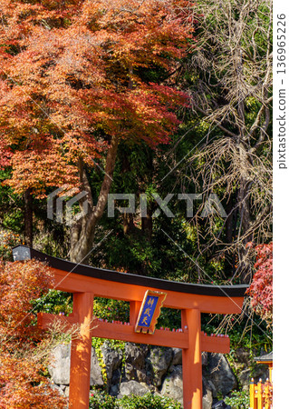 autumn time near osaka in japan autumn time near osaka in japan 136965226