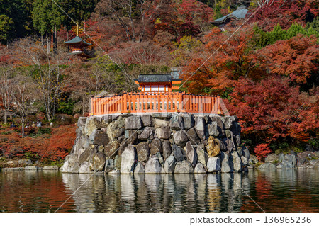 autumn time near  osaka in japan 136965236