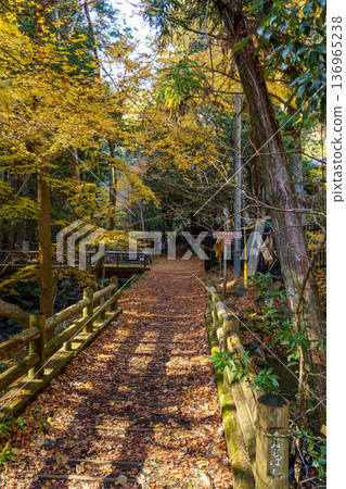 autumn time near osaka in japan autumn time near osaka in japan 136965238