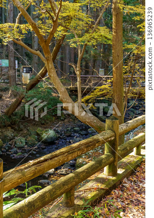 autumn time near osaka in japan autumn time near osaka in japan 136965239