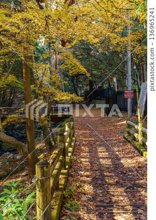 autumn time near osaka in japan autumn time near osaka in japan 136965241