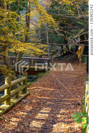 autumn time near osaka in japan autumn time near osaka in japan 136965242