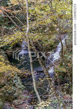 autumn time near  osaka in japan 136965255