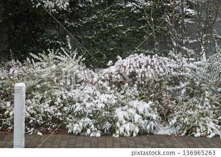 Snow piled up in front of the apartment building 136965263