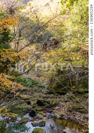 autumn time near osaka in japan 136965284