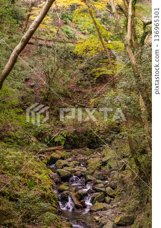 autumn time near osaka in japan 136965301