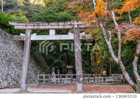 autumn time near osaka in japan 136965310