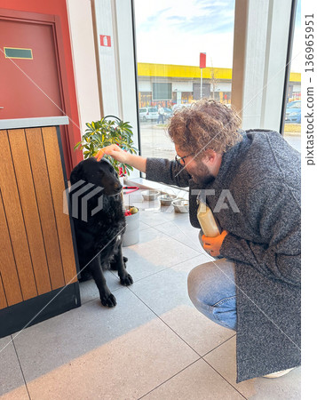 Man stroking black dog inside cafe near window. Human animal bond, companionship care, kindness gesture, everyday urban life concept 136965951