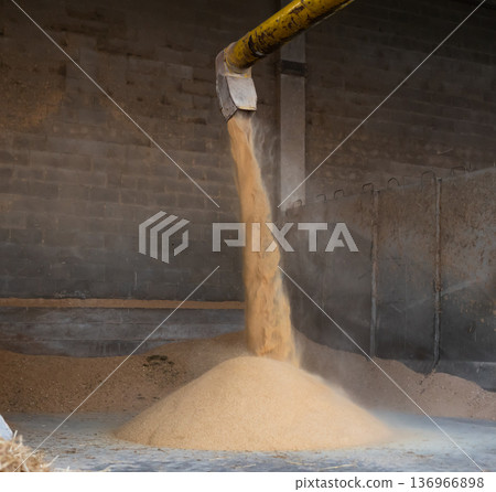 Soybean husks pouring from threshing machine in farm storage area Soybean husks pouring from threshing machine in farm storage area 136966898
