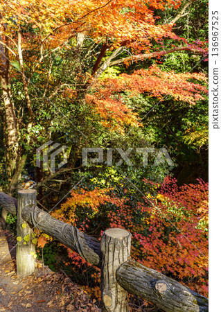 the city of Seoul in South korea the city of Seoul in South korea 136967525