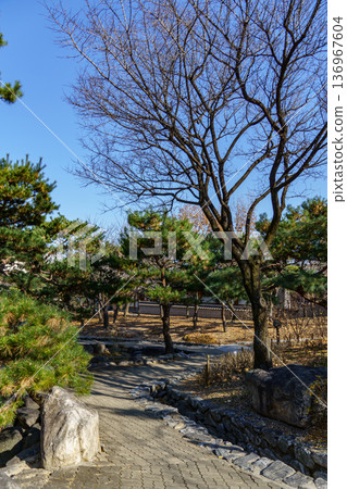 the city of Seoul in South korea the city of Seoul in South korea 136967604