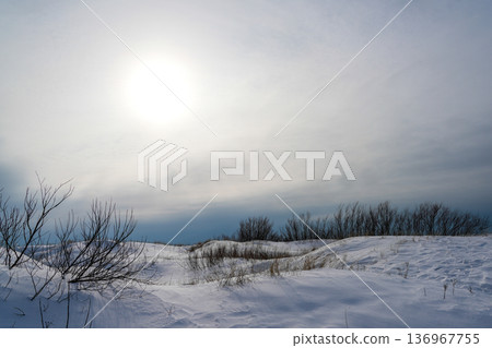 Snow Covered Baltic Sea Dunes Under Dramatic Winter Sky Snow Covered Baltic Sea Dunes Under Dramatic Winter Sky 136967755