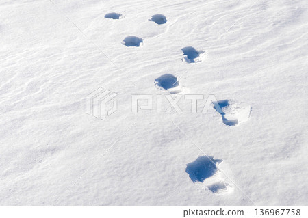 Footprints in Deep Snow and Under Bright Winter Sunlight 136967758