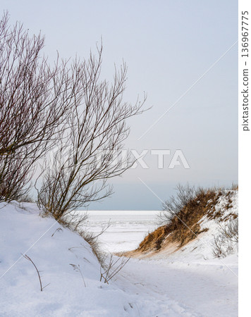 Winter Dunes and Frozen Baltic Sea Shore Under Overcast Sky Winter Dunes and Frozen Baltic Sea Shore Under Overcast Sky 136967775
