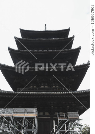 [Nara Park] A town where adorable deer live freely 136967902