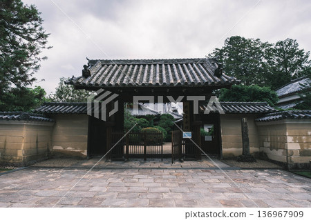 [Nara Park] A town where adorable deer live freely 136967909