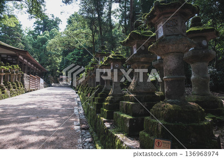 【春日大社】代表奈良的世界遺產 【春日大社】代表奈良的世界遺產 136968974