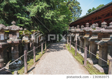 【春日大社】代表奈良的世界遺產 136968975