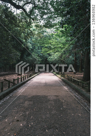[Kasuga Taisha Shrine] A World Heritage Site that represents Nara 136968982