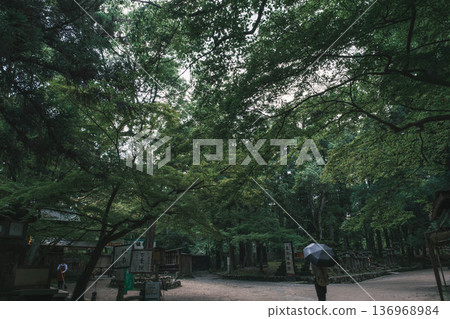 [Kasuga Taisha Shrine] A World Heritage Site that represents Nara 136968984