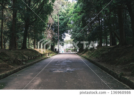 [Kasuga Taisha Shrine] A World Heritage Site that represents Nara 136968986