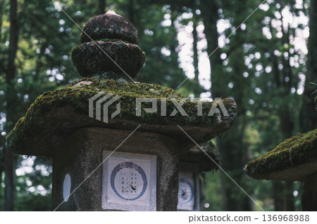 [Kasuga Taisha Shrine] A World Heritage Site that represents Nara 136968988