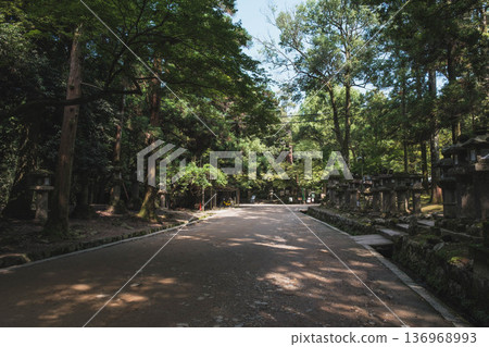 [Kasuga Taisha Shrine] A World Heritage Site that represents Nara 136968993