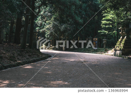 [Kasuga Taisha Shrine] A World Heritage Site that represents Nara 136968994