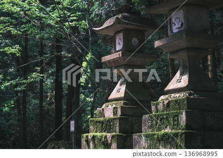 [Kasuga Taisha Shrine] A World Heritage Site that represents Nara 136968995