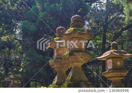 [Kasuga Taisha Shrine] A World Heritage Site that represents Nara 136968996