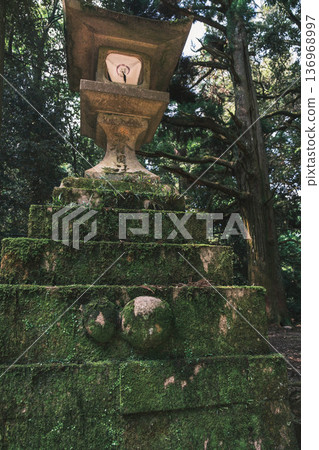 [Kasuga Taisha Shrine] A World Heritage Site that represents Nara 136968997