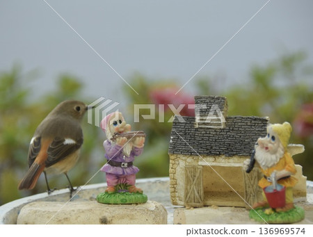 一隻知更鳥在矮人的國度裡迷路了。 136969574