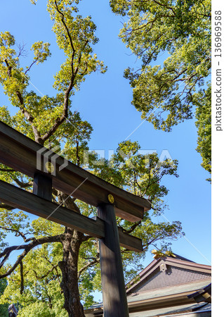 Tokyo in japan at autumn time 136969588