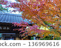 Tokyo in japan at autumn time 136969616