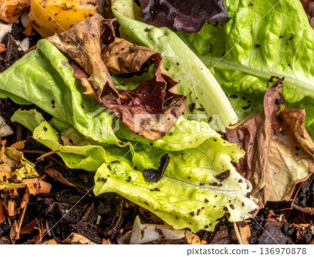Decomposing Food Scraps and Green Leaves in a Rich Brown Compost Pile Close Up 136970878