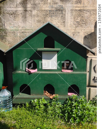 Green wooden shelters for stray cats near old wall. Compassion, coexistence, and community care for animals in Istanbul. Green wooden shelters for stray cats near old wall. Compassion, coexistence, and community care for animals in Istanbul. 136971084