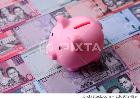 A piggy bank as a concept for storing, accumulating financial resources. A piggy bank A piggy bank as a concept for storing, accumulating financial resources. A piggy bank 136972489