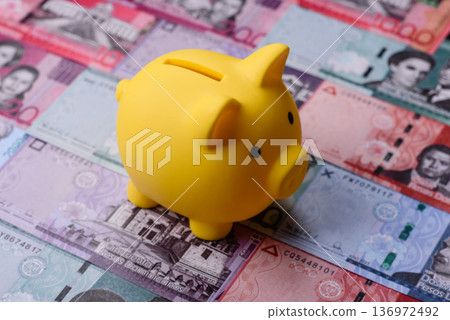 A piggy bank as a concept for storing, accumulating financial resources. A piggy bank A piggy bank as a concept for storing, accumulating financial resources. A piggy bank 136972492