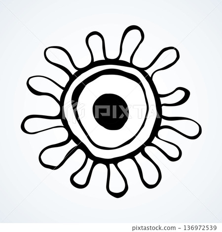 Corono virus bacterium. Vector drawing Corono virus bacterium. Vector drawing 136972539