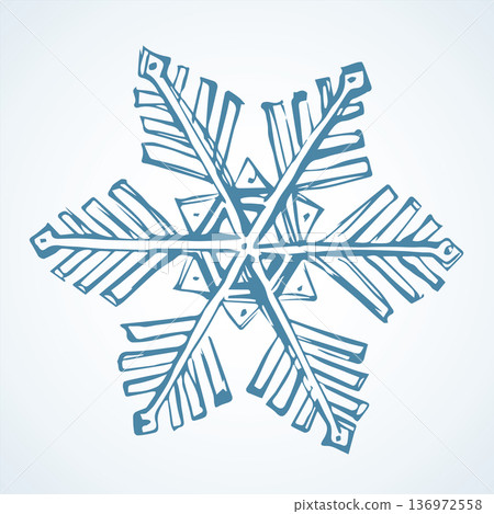 Cute snowflake. Vector freehand drawing 136972558