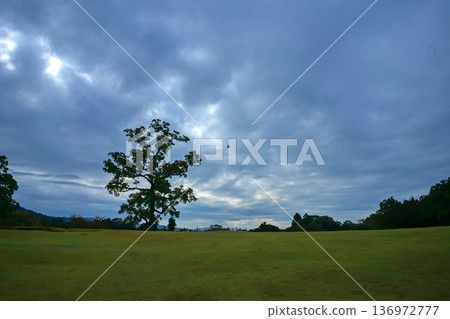 飛火野奈良公園 136972777