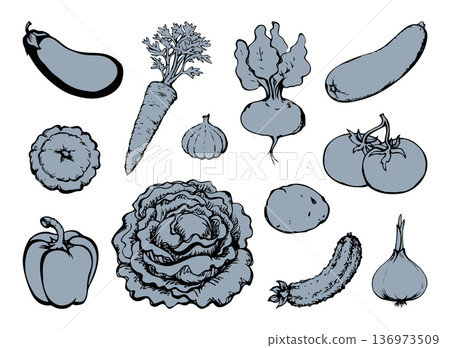 Vegetables set. Vector drawing food object 136973509