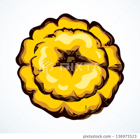 Pattypan squash fruit.  Vector drawing 136973523