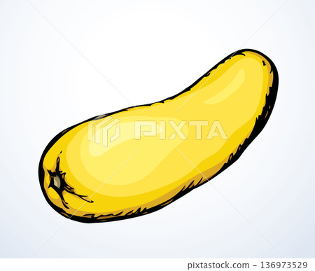 Zucchini gourd. Vector drawing icon Zucchini gourd. Vector drawing icon 136973529