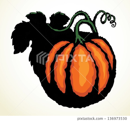 Big yellow pumpkin. Vector drawing Big yellow pumpkin. Vector drawing 136973530